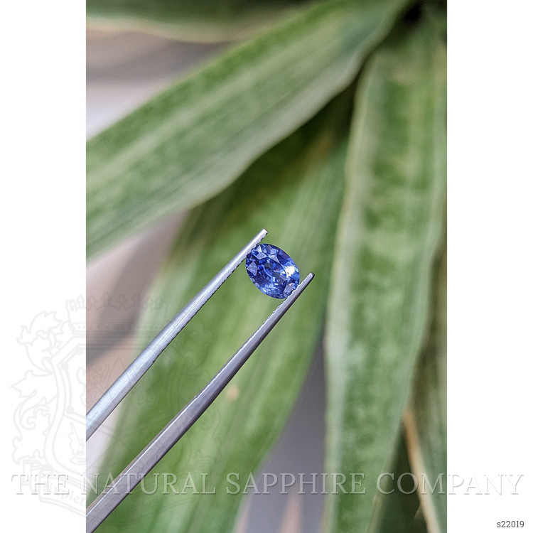 1.17 Ct. Blue Sapphire from Ceylon (Sri Lanka)