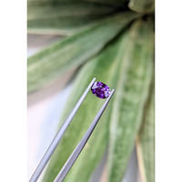 0.75 Ct. Purple Sapphire from Ceylon (Sri Lanka) Life Style
