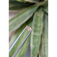 0.52 Ct. Peach Sapphire from Ceylon (Sri Lanka) Life Style