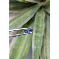 1.44 Ct. Blue Sapphire from Ceylon (Sri Lanka) Life Style
