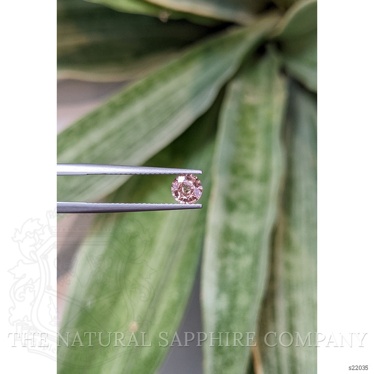 0.74 Ct. Padparadscha Sapphire from Ceylon (Sri Lanka)