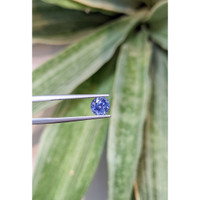 1.95 Ct. Blue Sapphire from Ceylon (Sri Lanka) Life Style