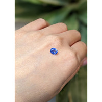 1.00 Ct. Blue Sapphire from Ceylon (Sri Lanka) Life Style