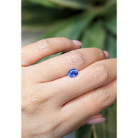 1.00 Ct. Blue Sapphire from Ceylon (Sri Lanka) Life Style