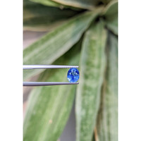 1.00 Ct. Blue Sapphire from Ceylon (Sri Lanka) Life Style