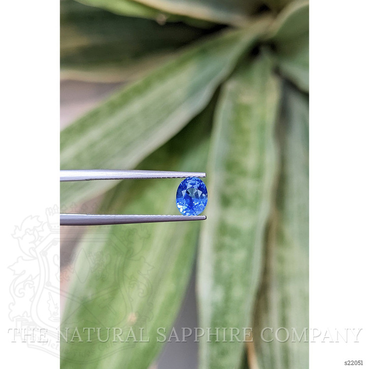 1.00 Ct. Blue Sapphire from Ceylon (Sri Lanka)