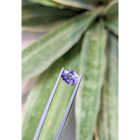 1.65 Ct. Violet Sapphire from Ceylon (Sri Lanka) Life Style