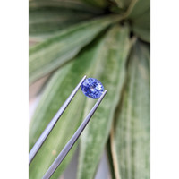 2.02 Ct. Blue Sapphire from Ceylon (Sri Lanka) Life Style