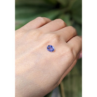 1.57 Ct. Purplish Blue Sapphire from Ceylon (Sri Lanka) Life Style