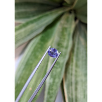 1.57 Ct. Purplish Blue Sapphire from Ceylon (Sri Lanka) Life Style