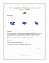1.03 Ct. Blue Sapphire from Ceylon (Sri Lanka) Appraisal