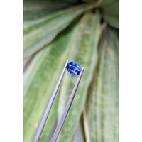 1.03 Ct. Blue Sapphire from Ceylon (Sri Lanka) Life Style