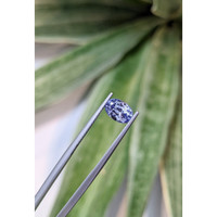 1.72 Ct. Blue Sapphire from Ceylon (Sri Lanka) Life Style