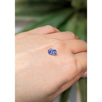 1.72 Ct. Blue Sapphire from Ceylon (Sri Lanka) Life Style