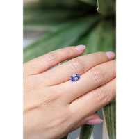 1.72 Ct. Blue Sapphire from Ceylon (Sri Lanka) Life Style