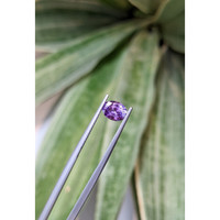 1.21 Ct. Purple Sapphire from Ceylon (Sri Lanka) Life Style
