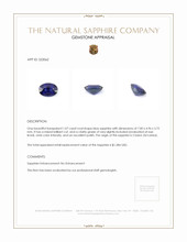 1.07 Ct. Sapphire from Ceylon (Sri Lanka) Appraisal