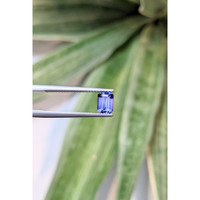 1.08 Ct. Violet Sapphire from Ceylon (Sri Lanka) Life Style
