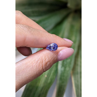 2.19 Ct. Violet Sapphire from Ceylon (Sri Lanka) Life Style