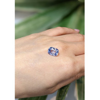 4.53 Ct. Bluish Purple Sapphire from Ceylon (Sri Lanka) Life Style