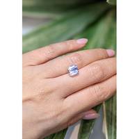 3.97 Ct. Bi Color Sapphire from Ceylon (Sri Lanka) Life Style