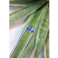 1.97 Ct. Bi Color Sapphire from Ceylon (Sri Lanka) Life Style