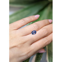 1.87 Ct. Blue Sapphire from Ceylon (Sri Lanka) Life Style