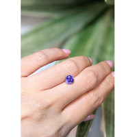 1.93 Ct. Purple Sapphire from Ceylon (Sri Lanka) Life Style