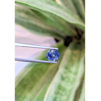 2.02 Ct. Bi Color Sapphire from Ceylon (Sri Lanka) Life Style
