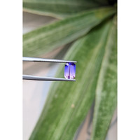 1.40 Ct. Bi Color Sapphire from Ceylon (Sri Lanka) Life Style