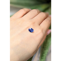 1.86 Ct. Blue Sapphire from Ceylon (Sri Lanka) Life Style
