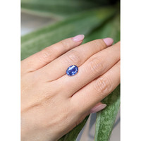 2.67 Ct. Blue Sapphire from Ceylon (Sri Lanka) Life Style
