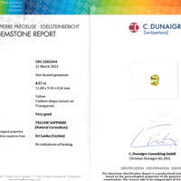 8.57 Ct. Yellow Sapphire from Ceylon (Sri Lanka) Scan Report