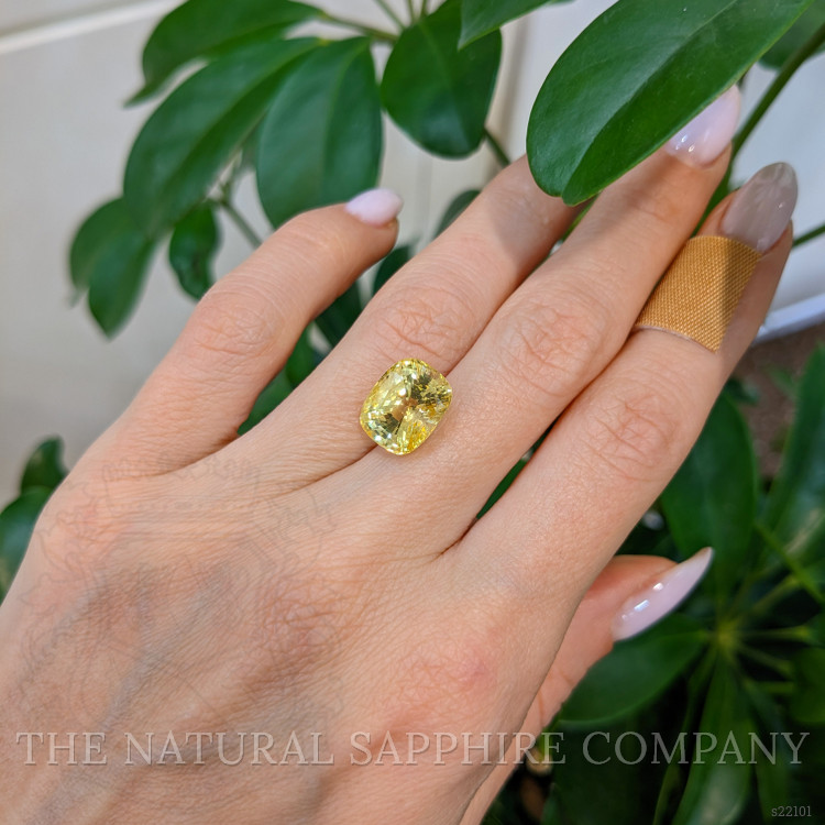 8.57 Ct. Yellow Sapphire from Ceylon (Sri Lanka)