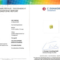 8.35 Ct. Yellow Sapphire from Ceylon (Sri Lanka) Scan Report