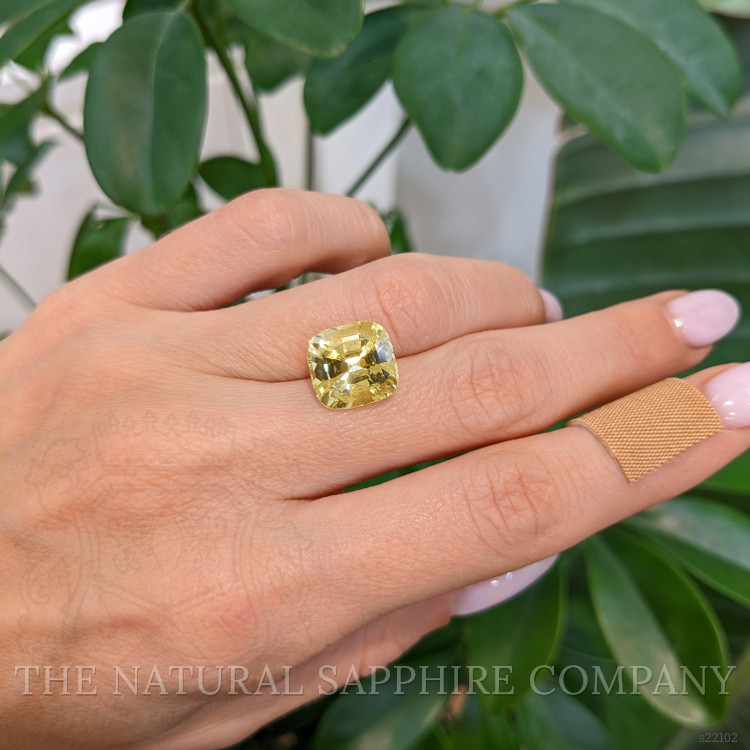 8.35 Ct. Yellow Sapphire from Ceylon (Sri Lanka)