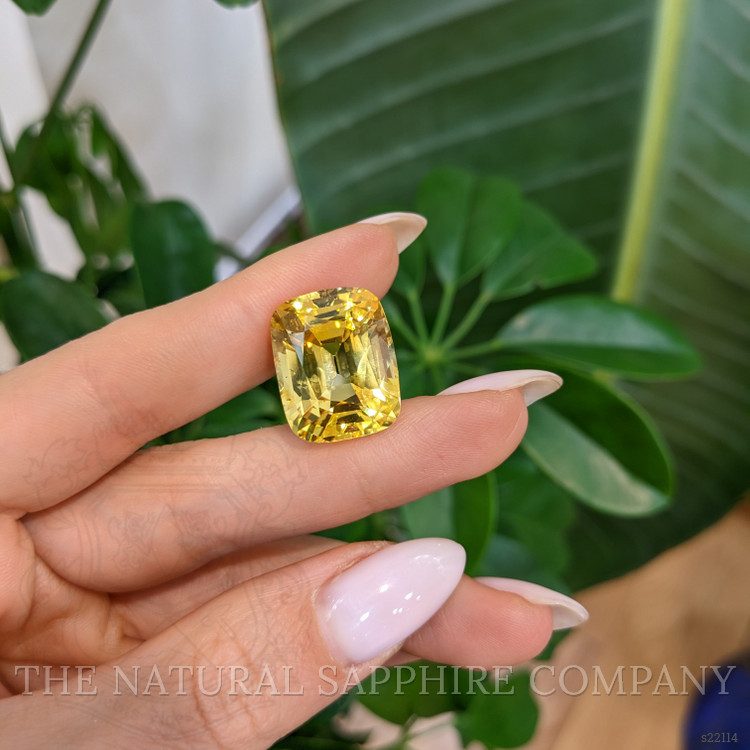 29.17 Ct. Yellow Sapphire from Ceylon (Sri Lanka)