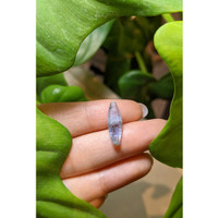 5.88 Ct. Bi Color Rough Sapphire from Ceylon (Sri Lanka) Life Style