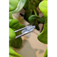 5.88 Ct. Bi Color Rough Sapphire from Ceylon (Sri Lanka) Life Style