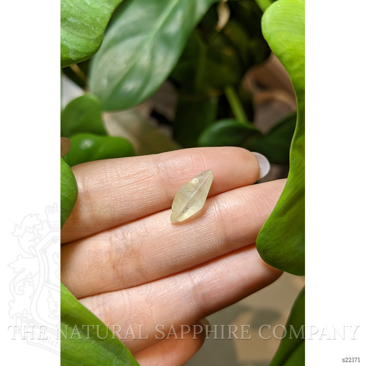 4.15 Ct. Yellow Rough Sapphire from Ceylon (Sri Lanka)