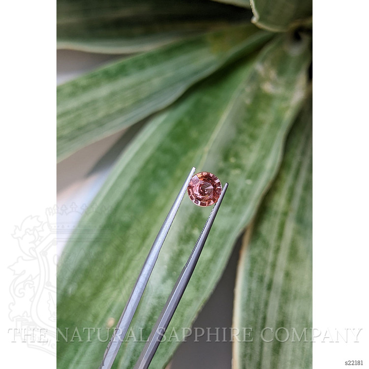 1.57 Ct. Padparadscha Sapphire from Ceylon (Sri Lanka)