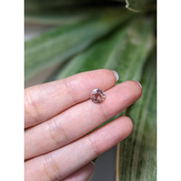 1.57 Ct. Padparadscha Sapphire from Ceylon (Sri Lanka) Life Style