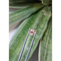 1.54 Ct. Padparadscha Sapphire from Madagascar Life Style