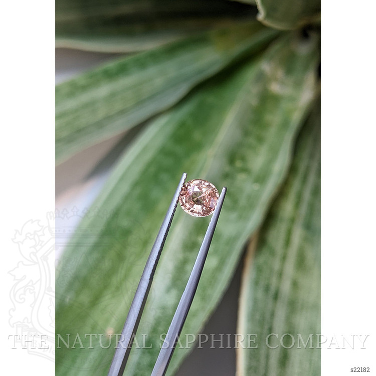 1.54 Ct. Padparadscha Sapphire from Madagascar