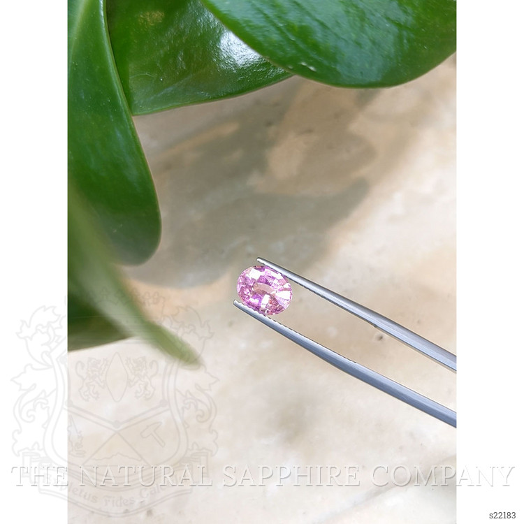 2.00 Ct. Pink Sapphire from Ceylon (Sri Lanka)