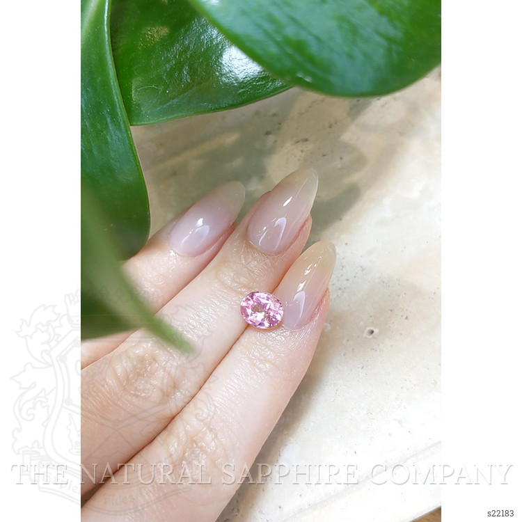 2.00 Ct. Pink Sapphire from Ceylon (Sri Lanka)