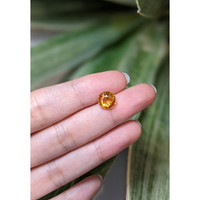 3.23 Ct. Yellowish Orange Sapphire from East Africa Life Style