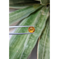 3.23 Ct. Yellowish Orange Sapphire from East Africa Life Style
