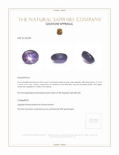 8.70 Ct. Sapphire from Ceylon (Sri Lanka) Appraisal