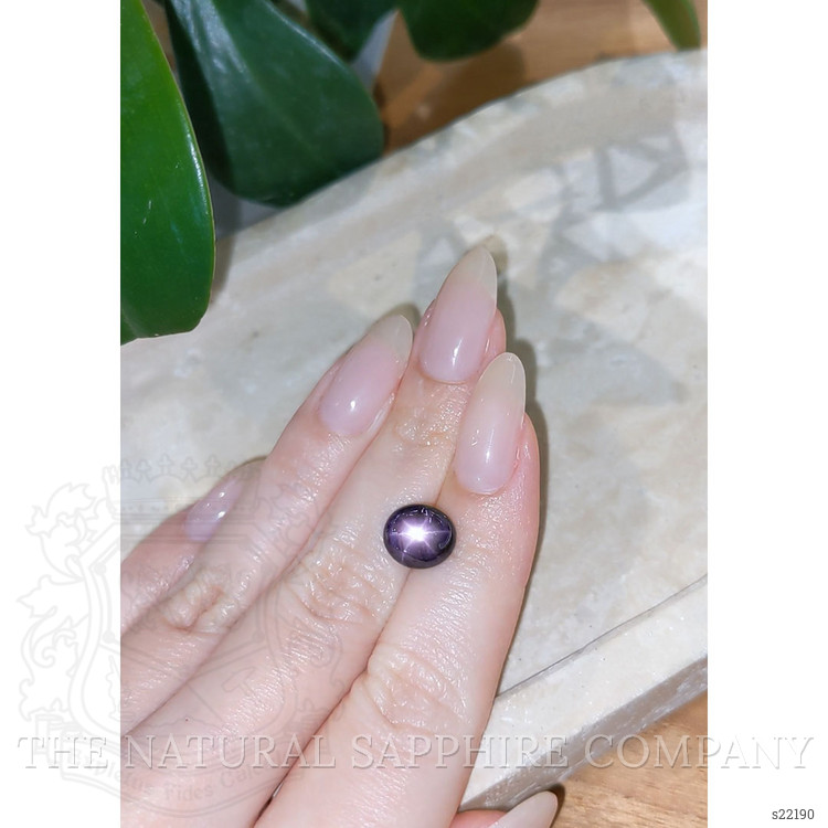 5.78 Ct. Purple Star Sapphire from Ceylon (Sri Lanka)